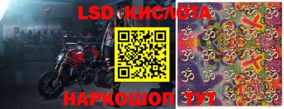 PSILOCYBIN Нальчик