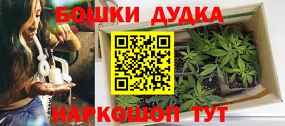 PSILOCYBIN Нальчик