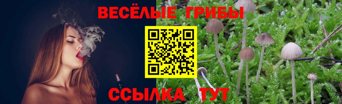 Тулун  Галлюциногенные грибы мухоморы  Вход с VPN 